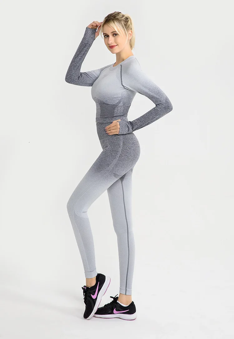 Shark Women Ombre Cropped Seamless Long Sleeve Top Crop Top Women Workout Shirts for Women Sports Tops Women Gym
