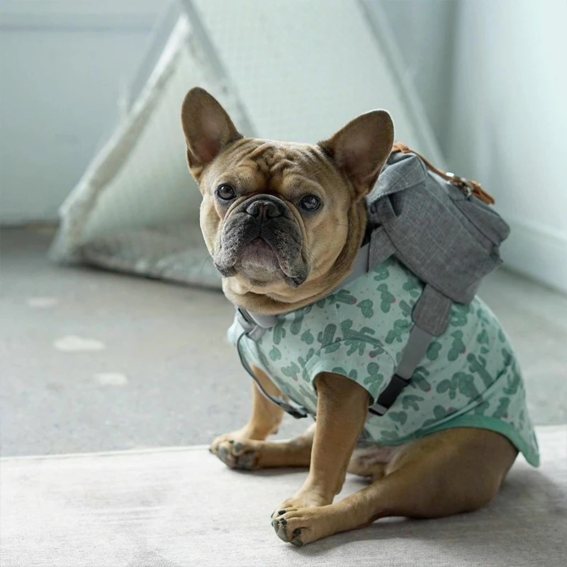 

dog backpack dog accessories pet accessories dog bag dog supplies dogs puppy cat backpack cat bag chihuahua French bulldog