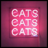 neon sign for cats cats lamp real glass tubes anime room decor neon light board home lighting vintage light home cute hotel