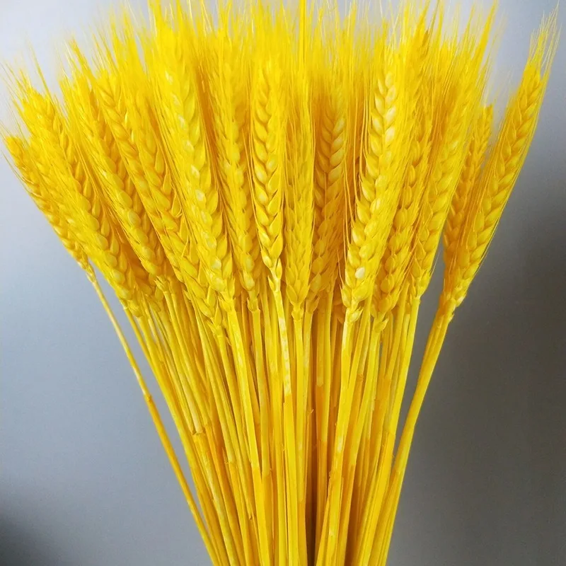 Dried Wheat Ear Bunches Flower Bouquets Natural Raw Color DIY Wedding Party Home Decoration | Дом и сад