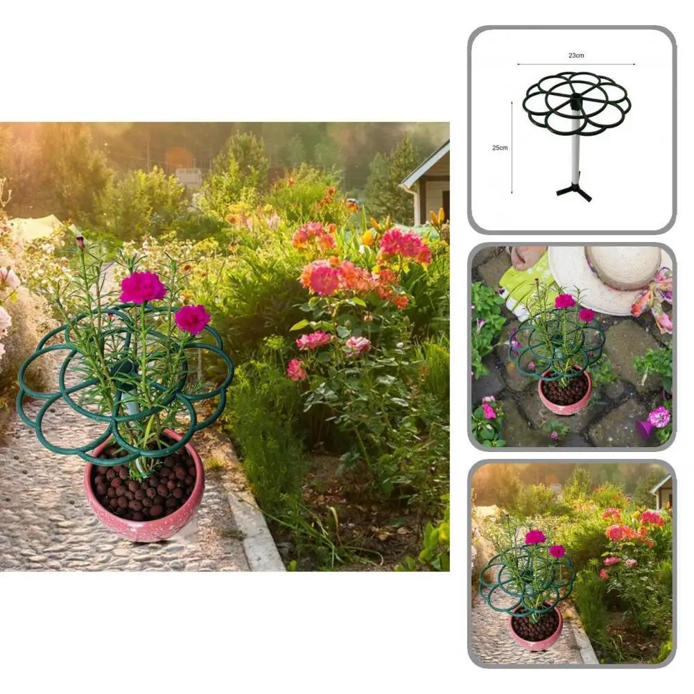 

Anti-cracking Reusable Anti-scratch Shockproof Plant Support Ring for Bonsai