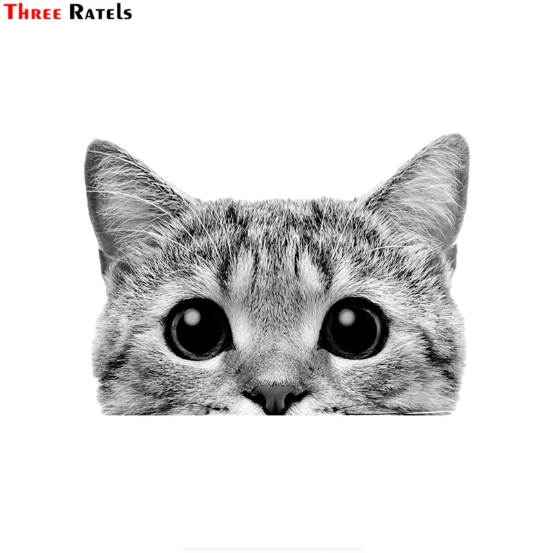 Три Ratels FC64 3D милые отличительные знаки животных кошка наклейка Котенок для