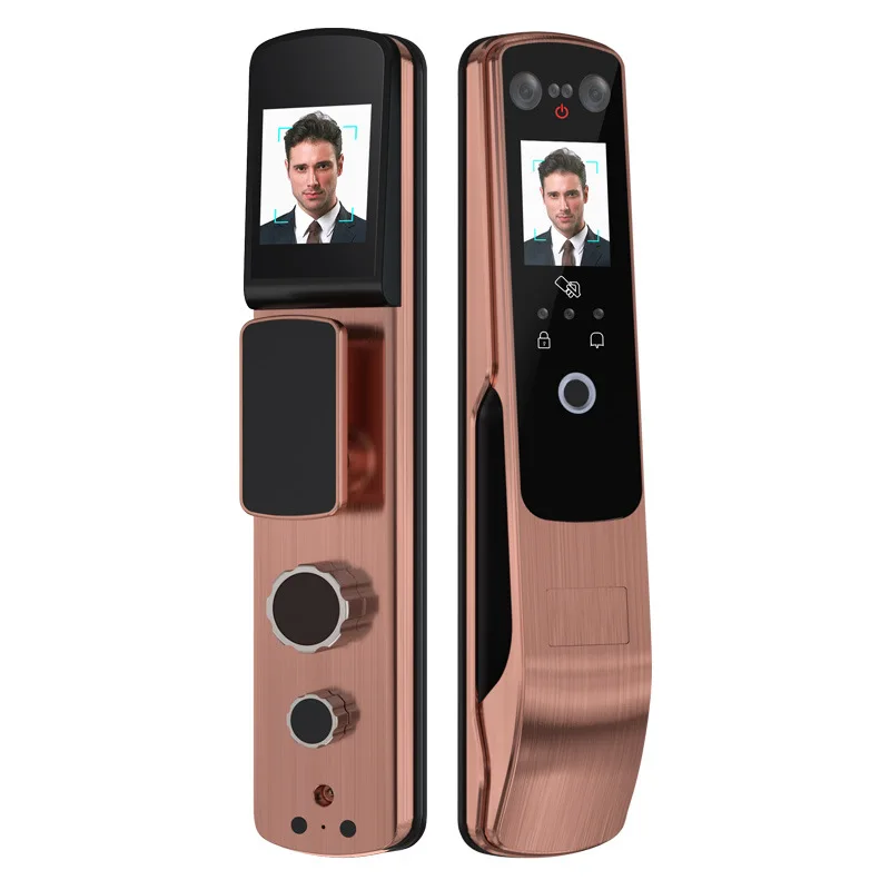 

Face Recognitional Lock Facial Recognition Smart Lock Anti-theft Intelligent Door Locks Password Palmprint Fingerprint Lock