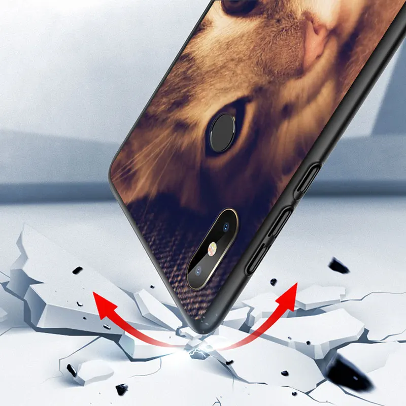 

For Xiaomi Mi 10T 10 9T 9SE 9 8 Pro Lite Ultra 5 Case British Shorthair cat For Xiaomi Mi Note 10 Pro Lite Phone Case