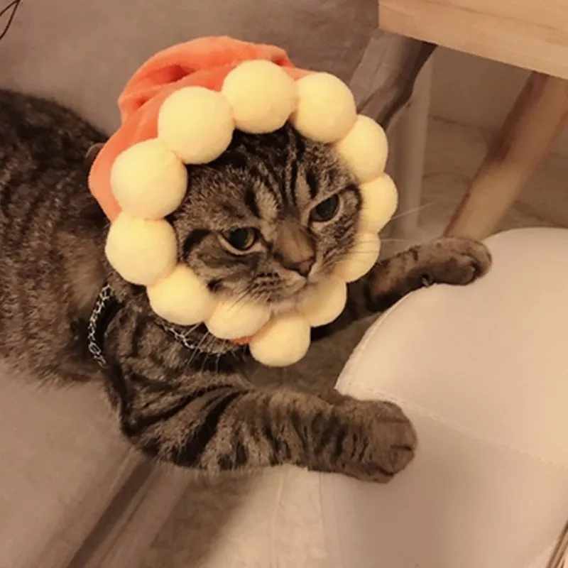 Животные Кошки Собаки Косплей костюмы забавные волосы аксессуары нарядить