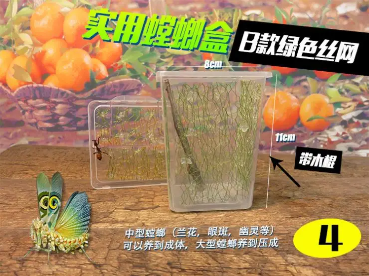 Пластиковая кубическая коробка для mantis Кристальный бак насекомых клетка