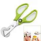 1 шт. инструменты для работы с яйцами голубь перепелиные яйца ножницы яйцо нож резак Нержавеющаясталь перепелиное яйцо открывалка птица инструмент Кухня инструменты