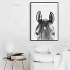 Черно-белая фотография Peekaboo фотография стены Современные животные голова лошади фотопечать домашний декор для комнаты