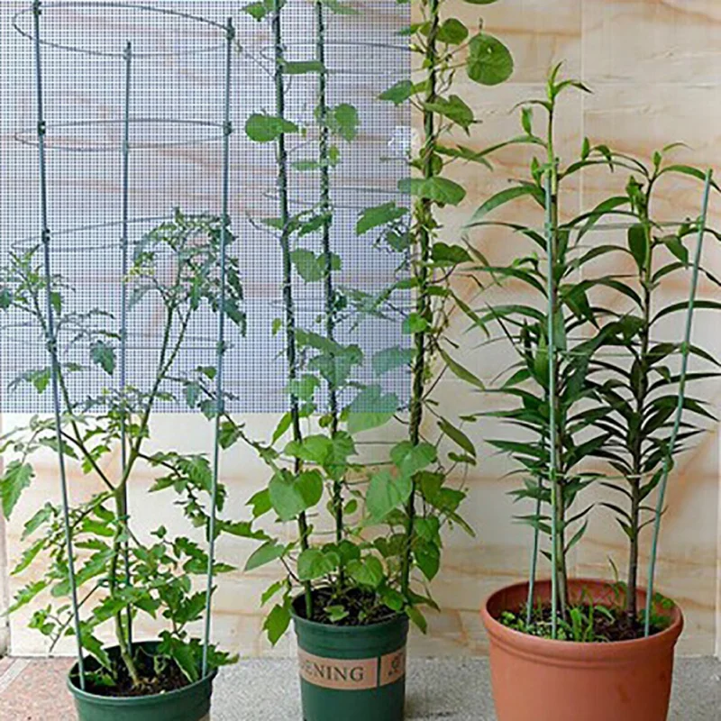 

Fixed Plant Iron Ring Bracket Climbing Frame 45CM