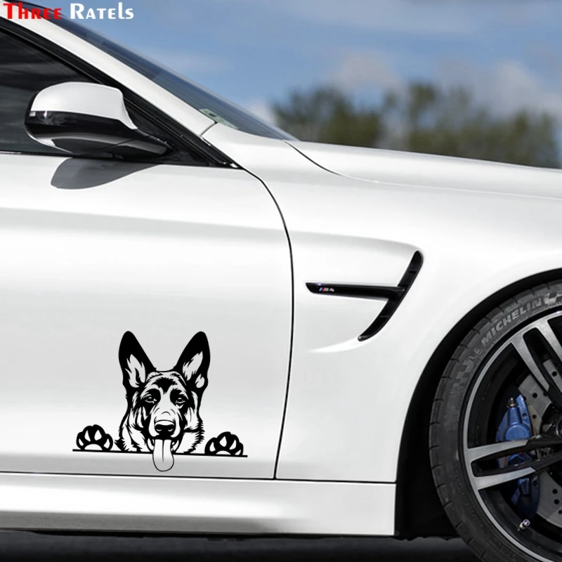 Три Ratels FTZ-2291 современного искусства с забавными животными Виниловая пленка для