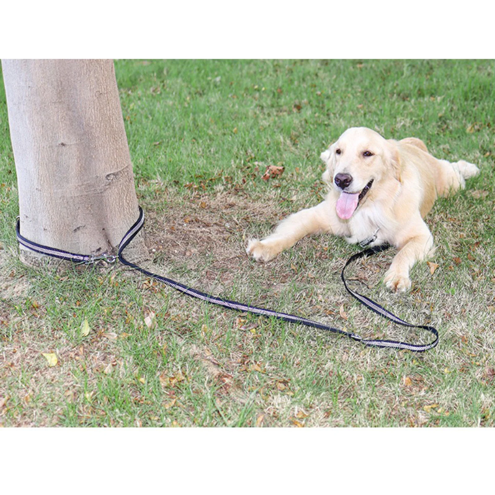 

Сверхмощный поводок для собак, ручка для движения, для безопасного обучения, для прогулок средних и больших питомцев