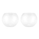 2X круглая сферическая ваза в прозрачном стеклянном аквариуме