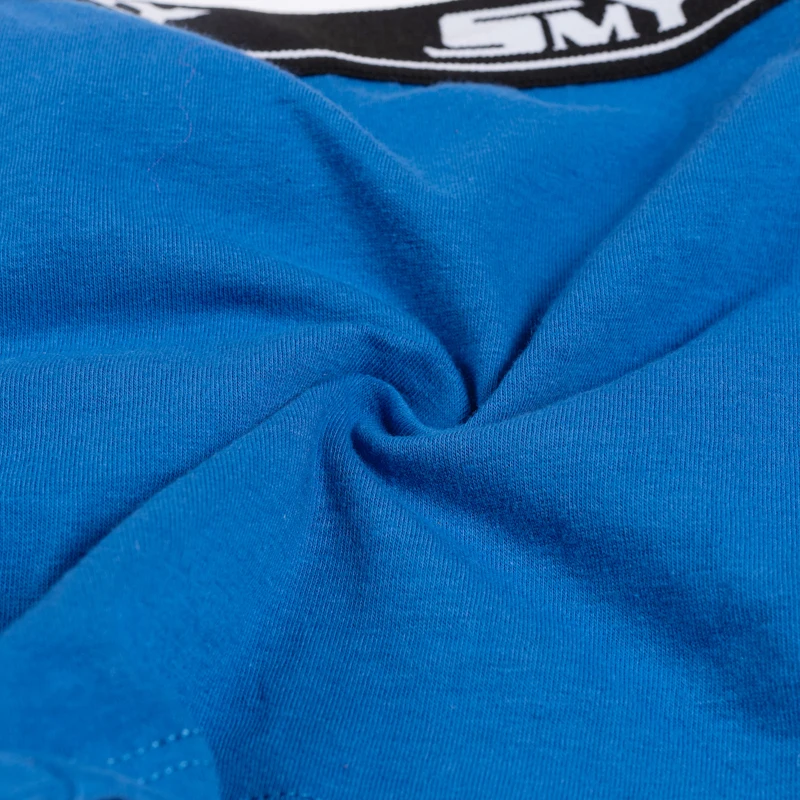 2 шт. хлопковые трусы боксеры для мальчиков|Нижнее белье| |