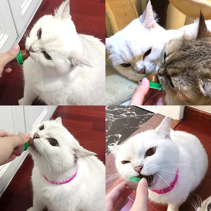 Мячик кошки с витамином твердый питательный крем для кошек здоровые леденцы