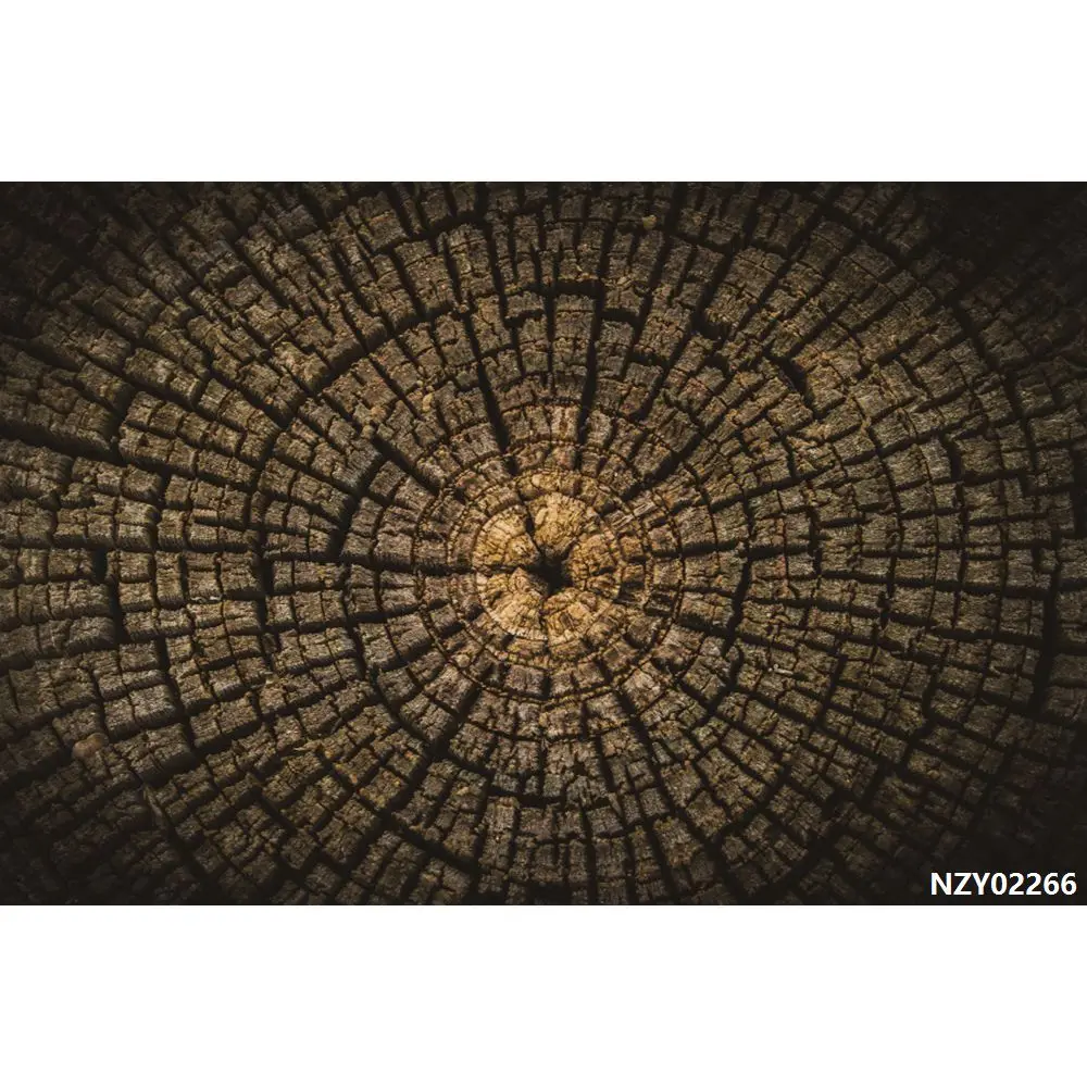 Laeacco трещина Старое дерево пень деревянный портрет десерт фотографические фоны Индивидуальные фотографии фоны для фотостудии - Цвет: NZY02266