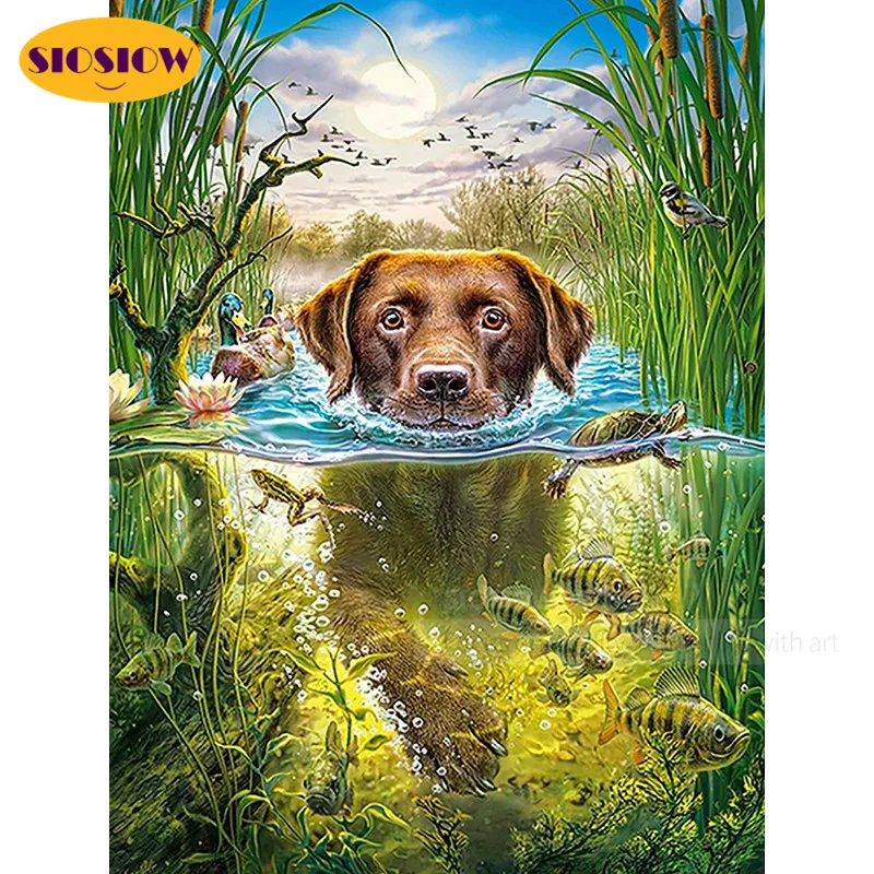 5D алмазная живопись сделай сам вышивка крестиком собака спаниель плавание