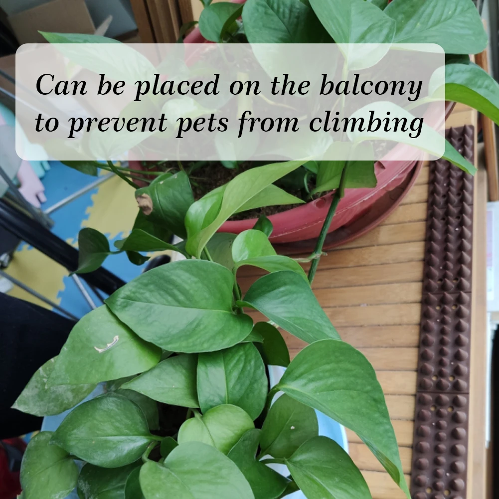 10 шт. защита от птиц кражи садовый забор настенные шипы кошачья шипа Pinchos Antipalomas |