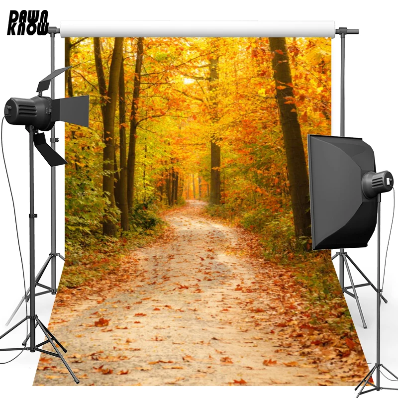 

Осенний фон для фотосъемки с изображением семейного леса и опавших листьев F169