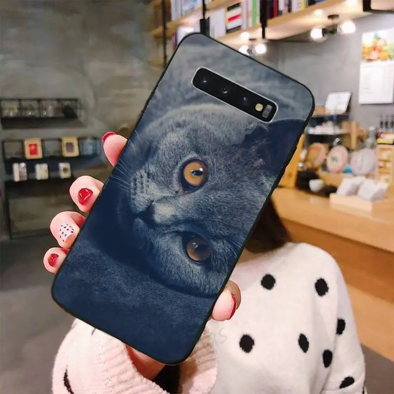 

Chartreux cat cute lovely Phone Case For Samsung A50 A51 A71 A20E A20S S10 S20 S21 S30 Plus ultra 5G M11 funda shell