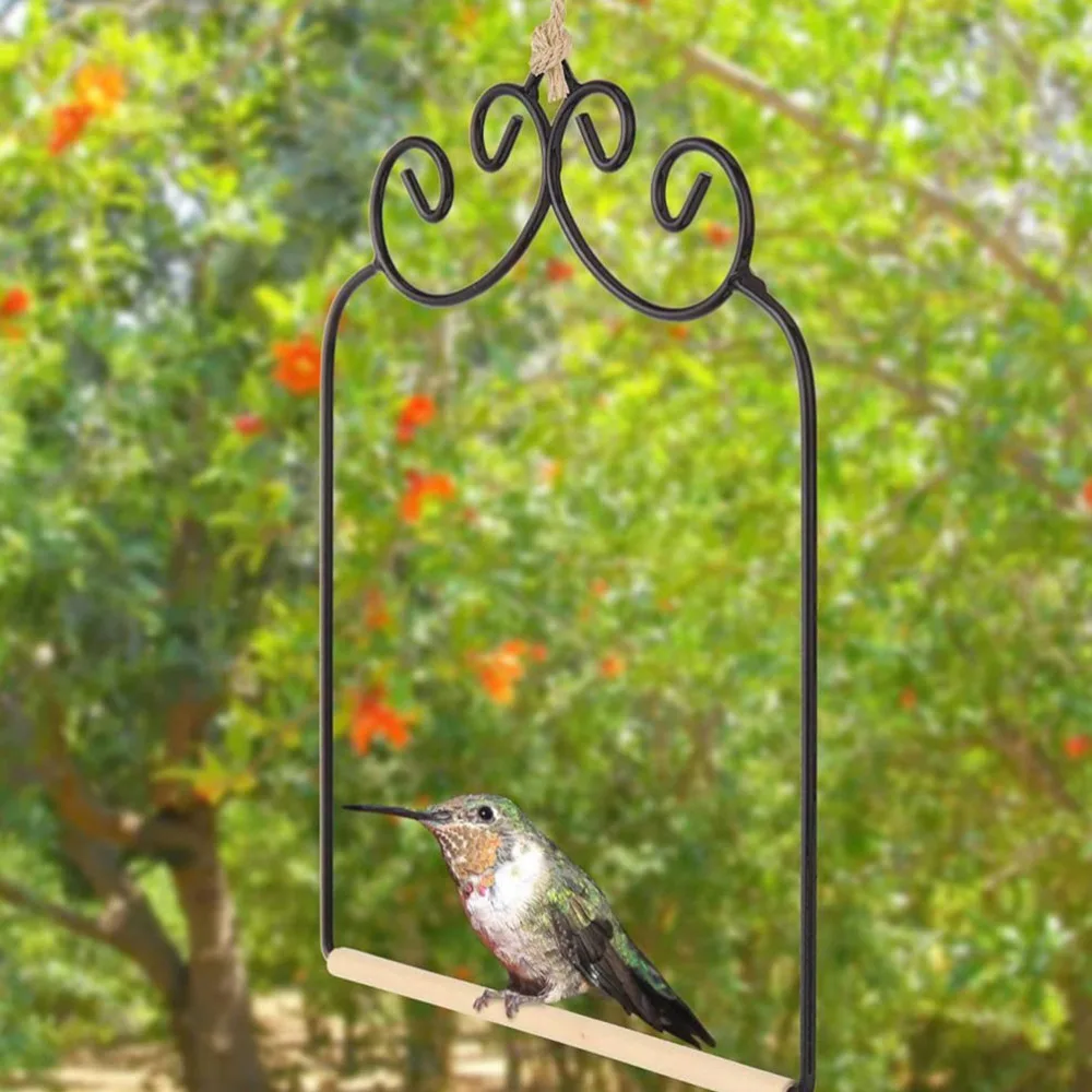 

2pcs Creative Hummingbird Parrot Swing Funny Bird Playing Bird (Black)