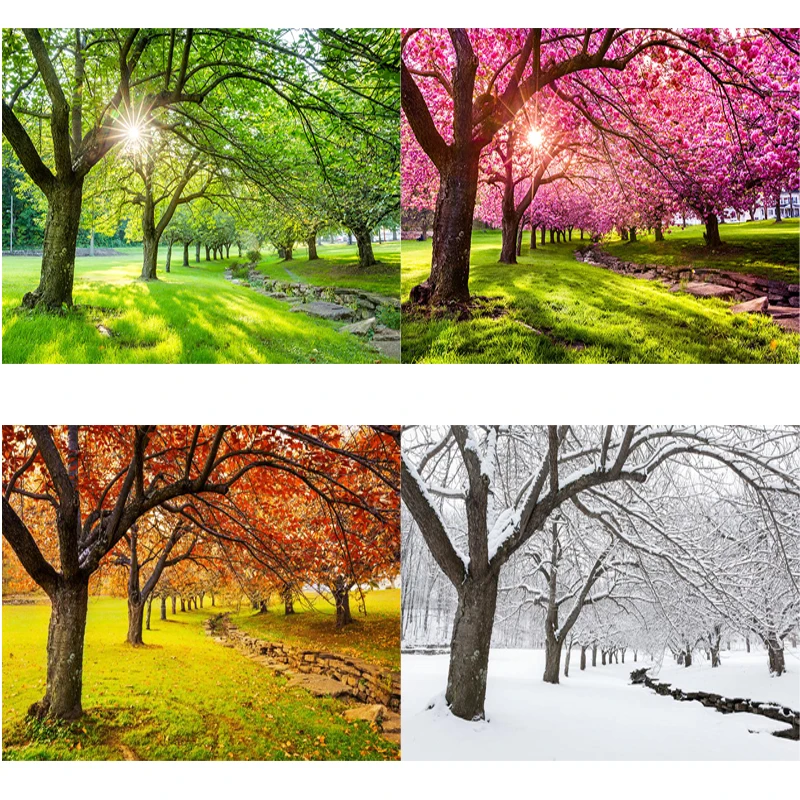 Алмазная 5D картина сделай сам четыре сезона пейзаж дерево крест квадратная