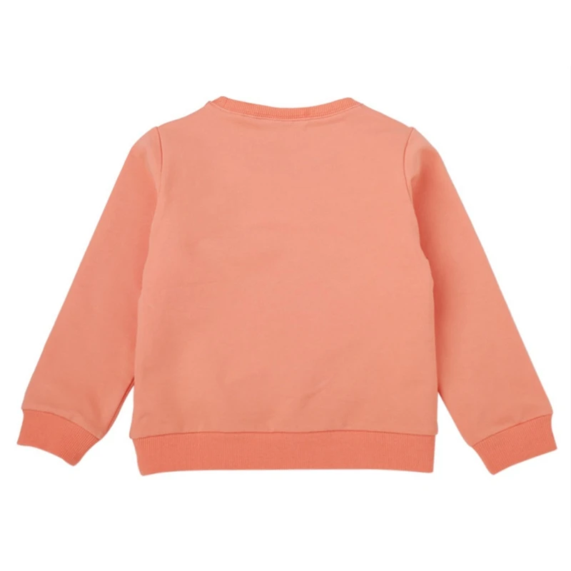 

2021 Children Hoodie Sweatshirt Male Sweatshirt Set Autumn Kids Sweatshirts Tops Long Sleeve T-shirt Boys Girls Baby Clothes