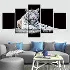 5 шт., модульные картины с изображением тигра