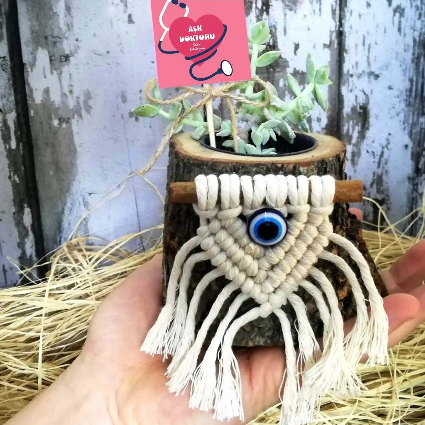 

Love Doctor Themed Naturel Sukulent In Pots