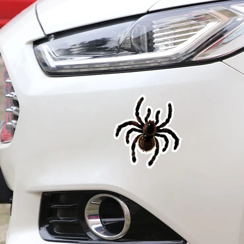 

13cmx13cm Funny spider Vinyl Car stickers Decals Motorcycle Accessories Car-Window Decorative Goods PVC
