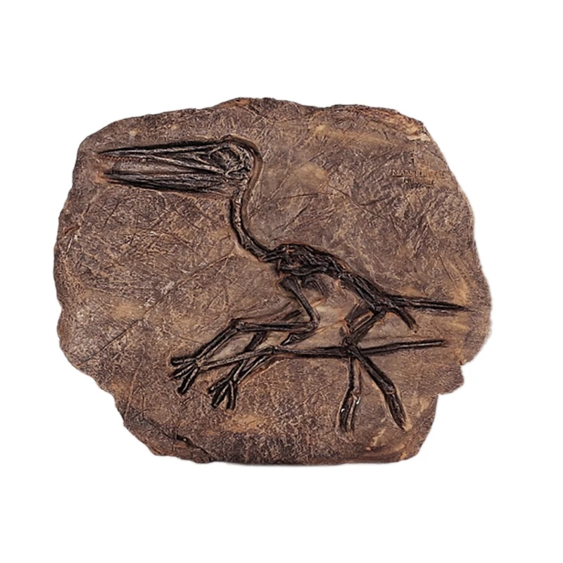 Тираннозавр Рекс Динозавр Fossil Jurassic Cretaceous 130 миллионов лет|Статуэтки и миниатюры| |