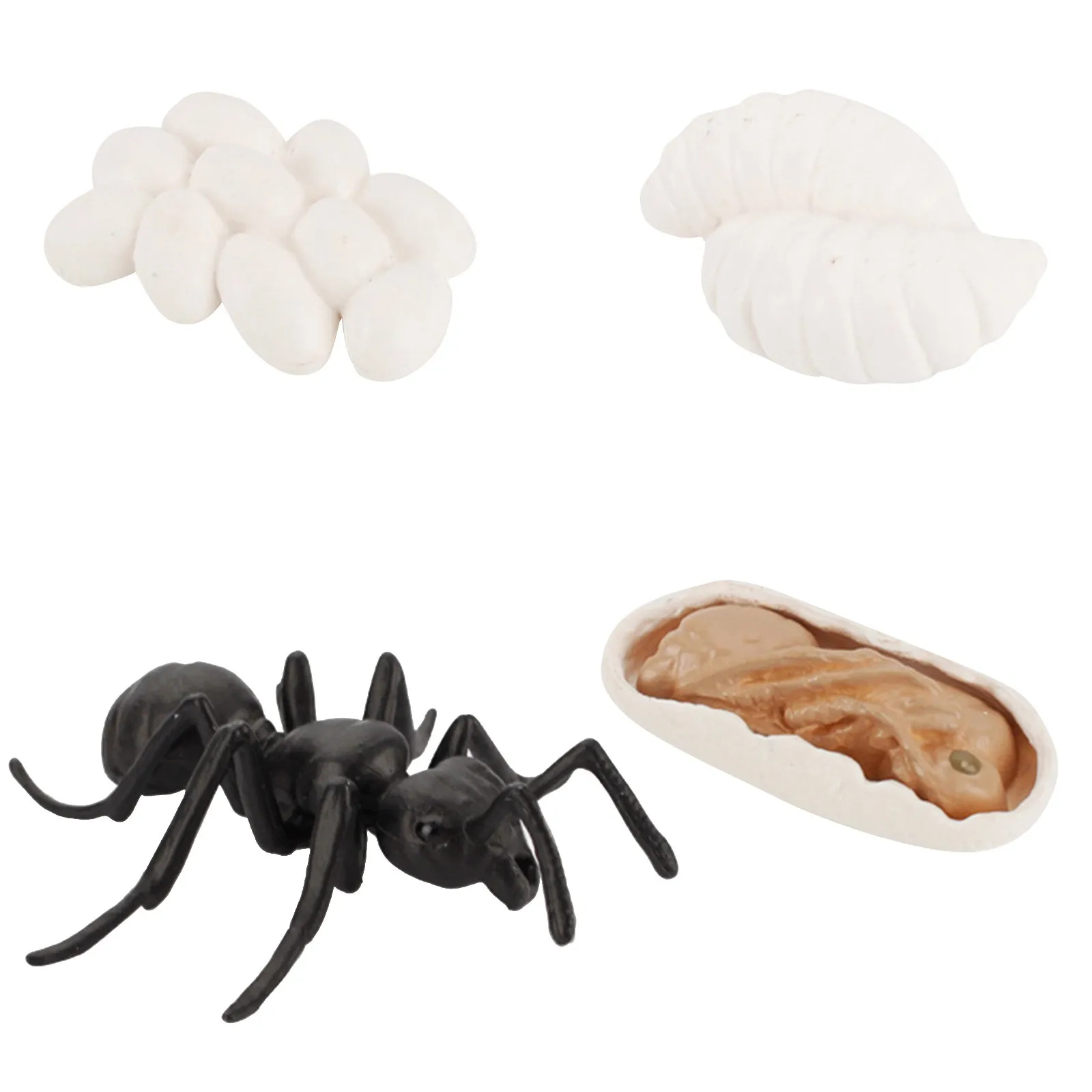 Развивающая игрушка Монтессори Детская модель лучшего цикла роста животных