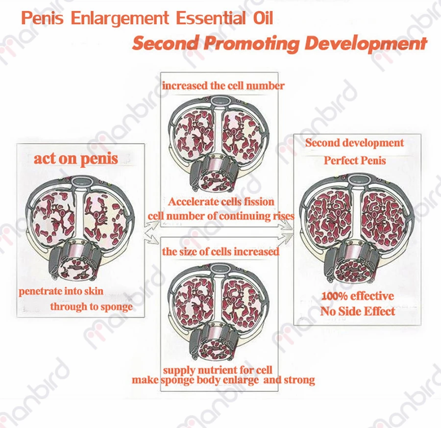 Утолщенный пенис для роста большой член увеличенный мужчин т жидкий эрекция