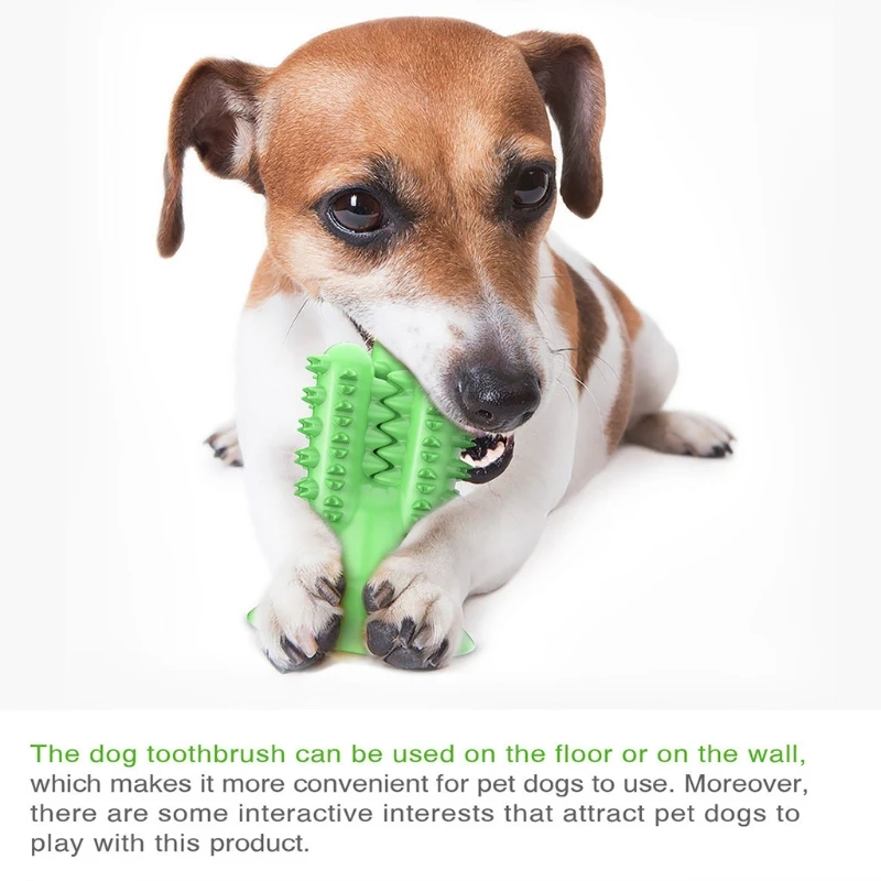 

Pet Bite Training Chew Toy Cactus Food Spiller Dog Toothbrush Dental Chewing Toy