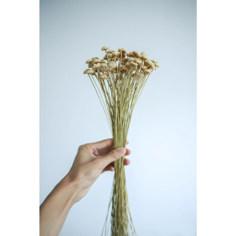 

Newyear 2021 Home Office Garden Decoration High Quality Preserved Dried Flower Bouquet Chrysanthemum Star Floral Arrangement