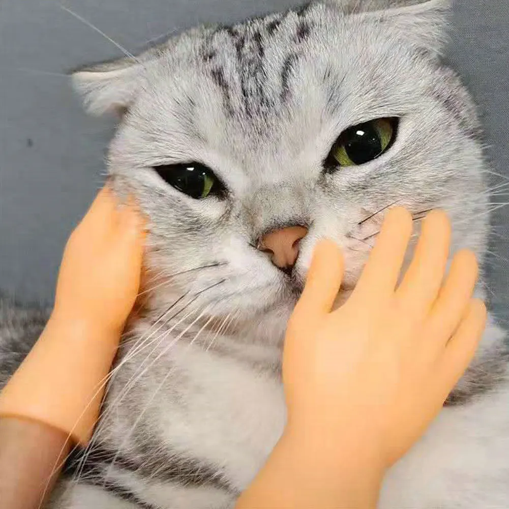 

Tiny Hand Finger Puppets Tiny Hands Mini Finger Dog Cat Massage Puppet Hand With Left Hands And Right Hand For Dropshipping