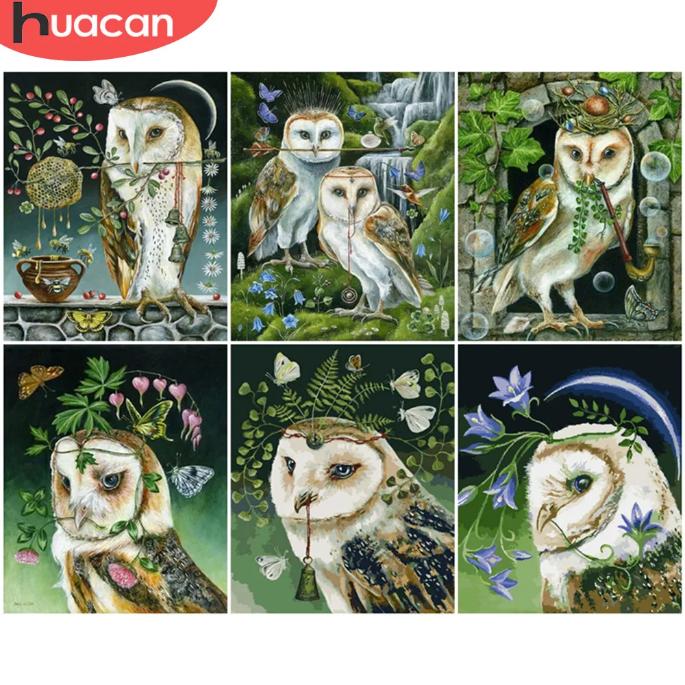 

HUACAN Oil Painting By Numbers Owl Acrylic Modern Wall Art Painting By Number On Canvas Animal Home Decoration 40x50cm