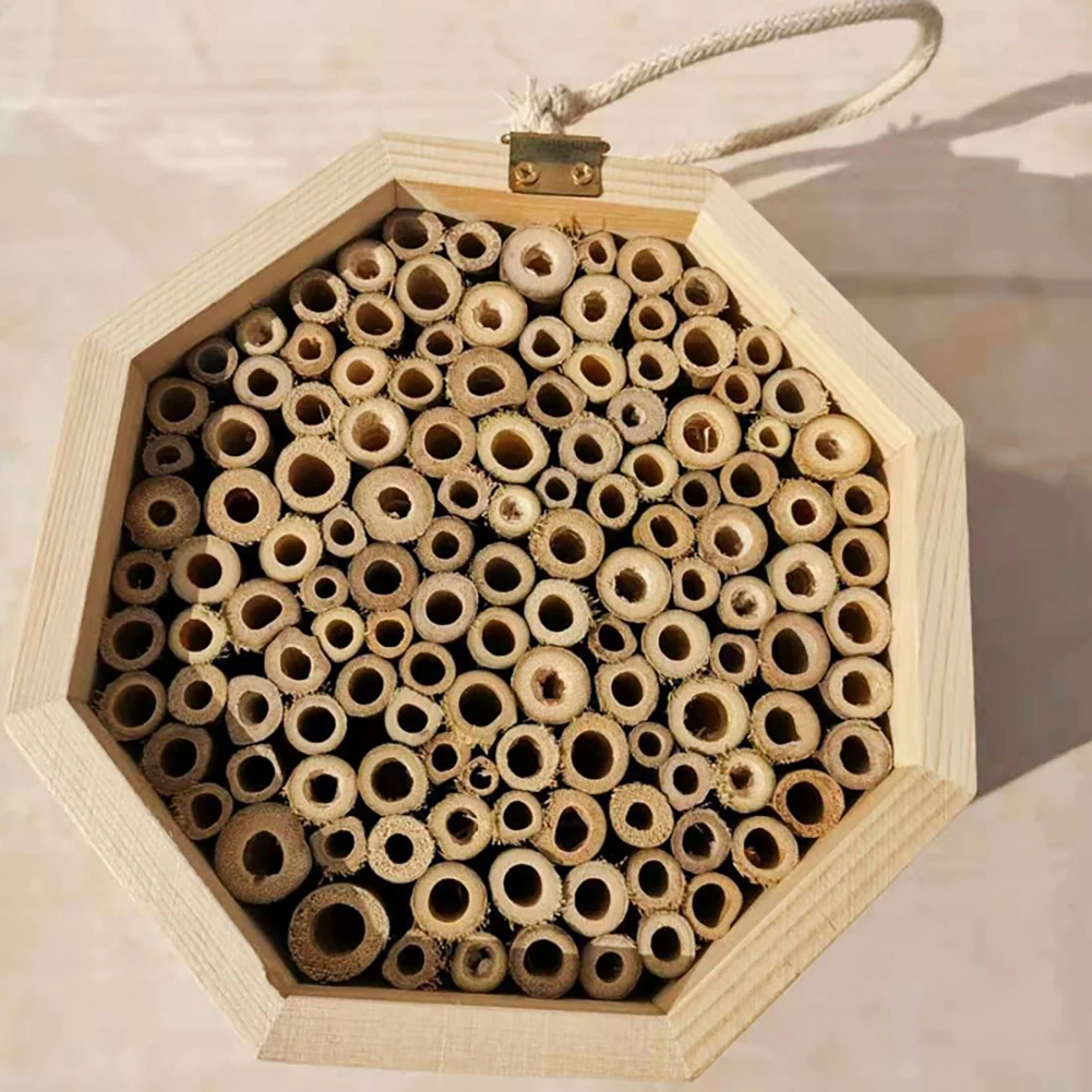 

Beekeeping Mason Bee House Refillable Nesting Box Handmade Natural Bamboo Bee Hive Attracts Peaceful Bee Pollinators Accessories