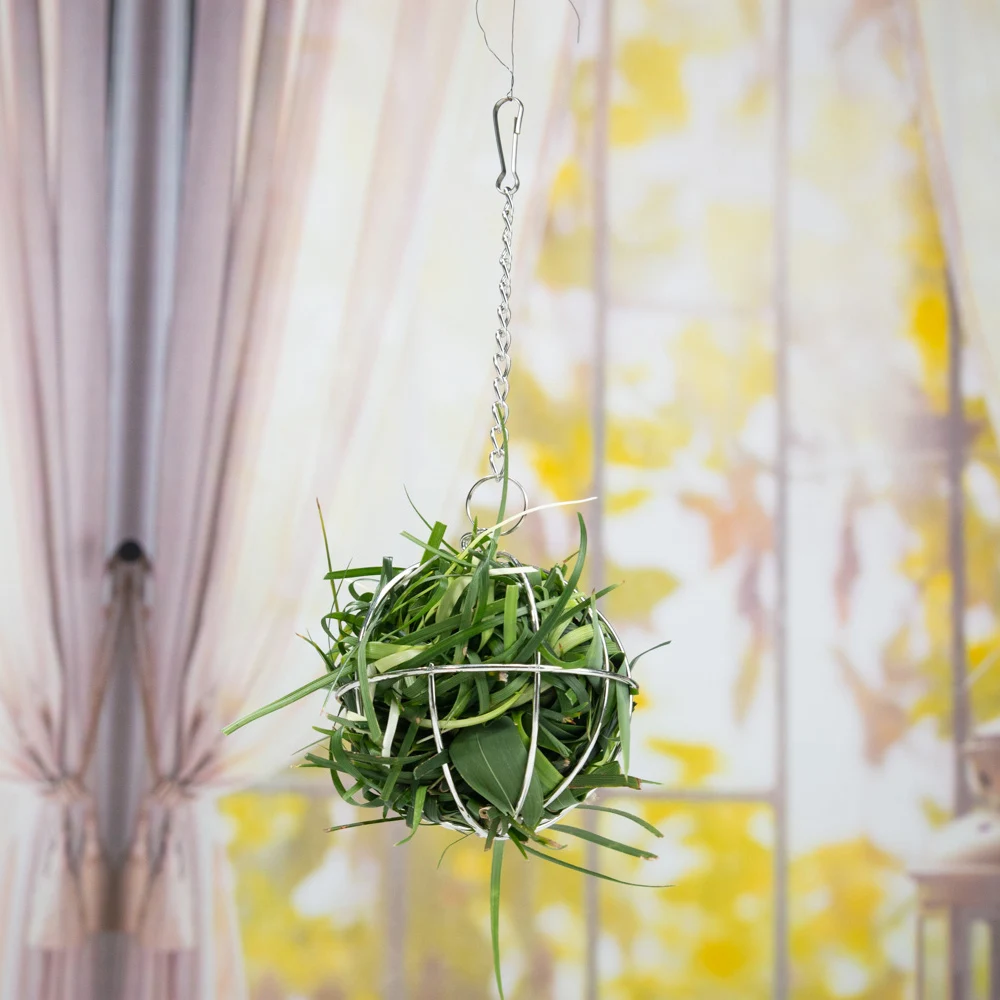 Круглый шар из нержавеющей стали для кормления домашних животных|Принадлежности