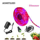 Светодиодная лента для выращивания растений, водонепроницаемая фитолампа полного спектра с адаптером питания для теплиц и гидропонных систем, 1-5 м в комплекте