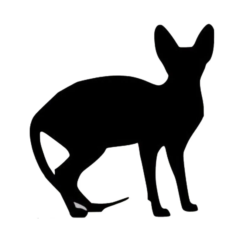 

Cute pet car sticker cross country diesel car motorcycle auto parts personalized decoration refrigerator car fun Decal PVC