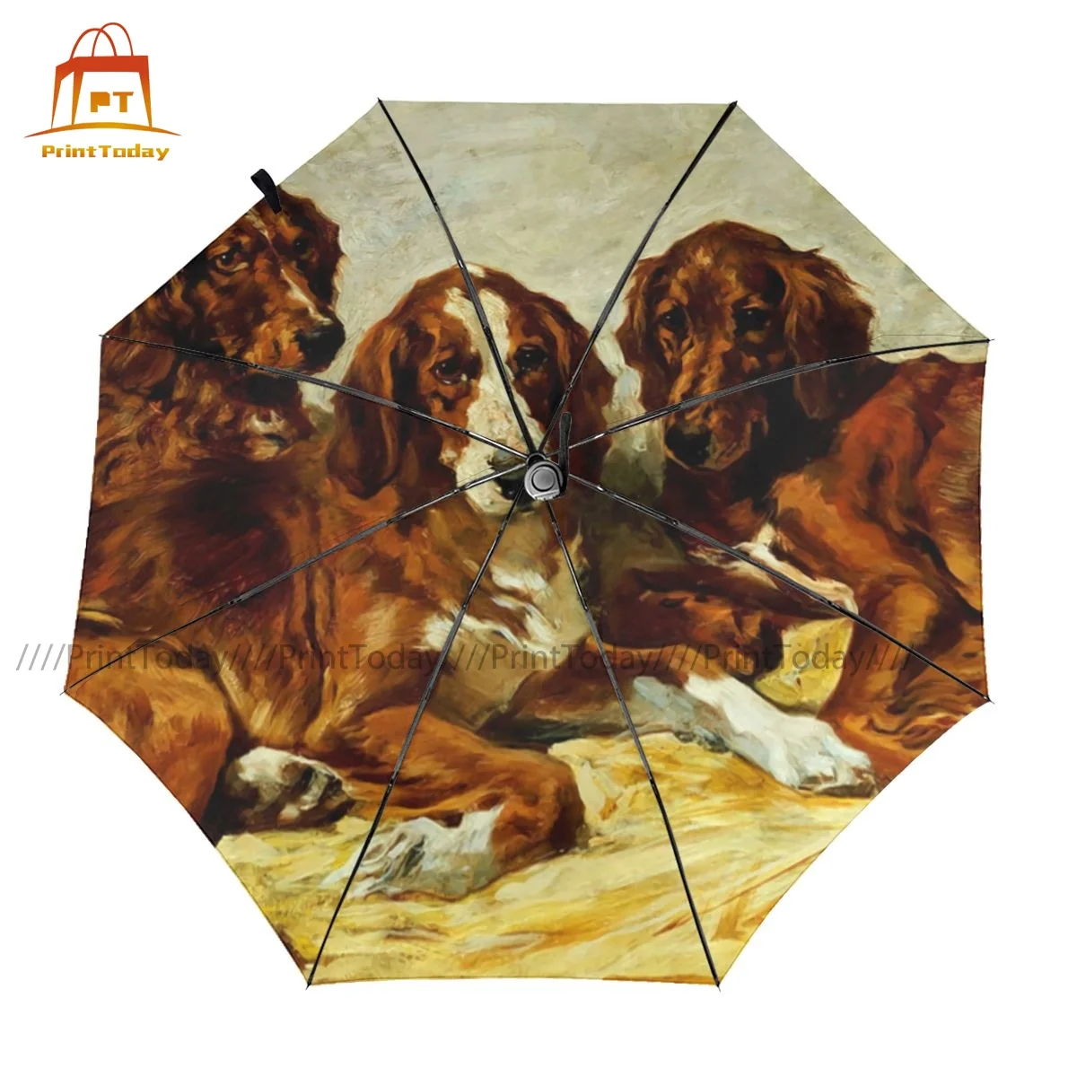 

Paw Umbrella UV Protection Camping Umbrella Unique Automatic Art Portable Umbrella