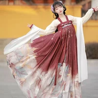 tang dynasty hanfu cosplay outfit withno ancient chinese wig ancient miss noble traditional chinese clothing for women