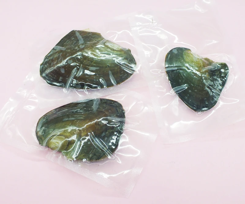 The most classic gift and the cheapest ! free delivery 100pcs Freshwater Vacuum-pack Oyster Wish Pearls. AAA 6-7 mm pearl | Украшения и