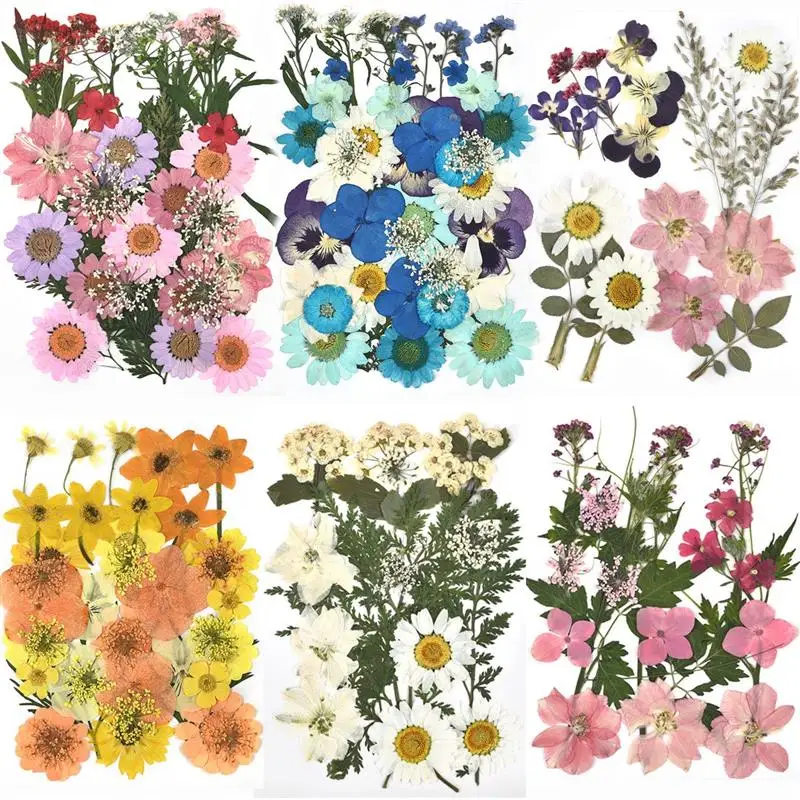 

1Pack Small Real Dried Flower Dry Plants For Candle Epoxy Resin Pendant Necklace Jewelry Making Craft DIY Accessories Home Decor