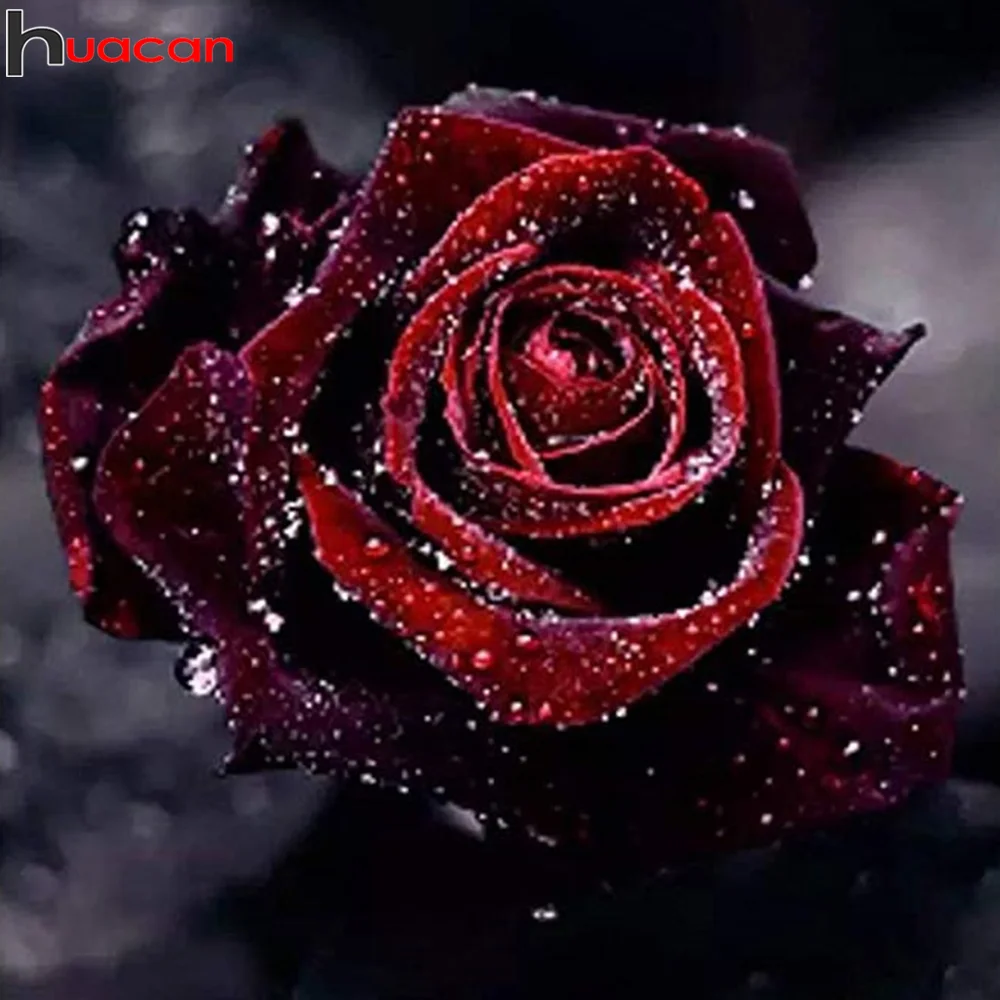 Алмазная мозаика Huacan