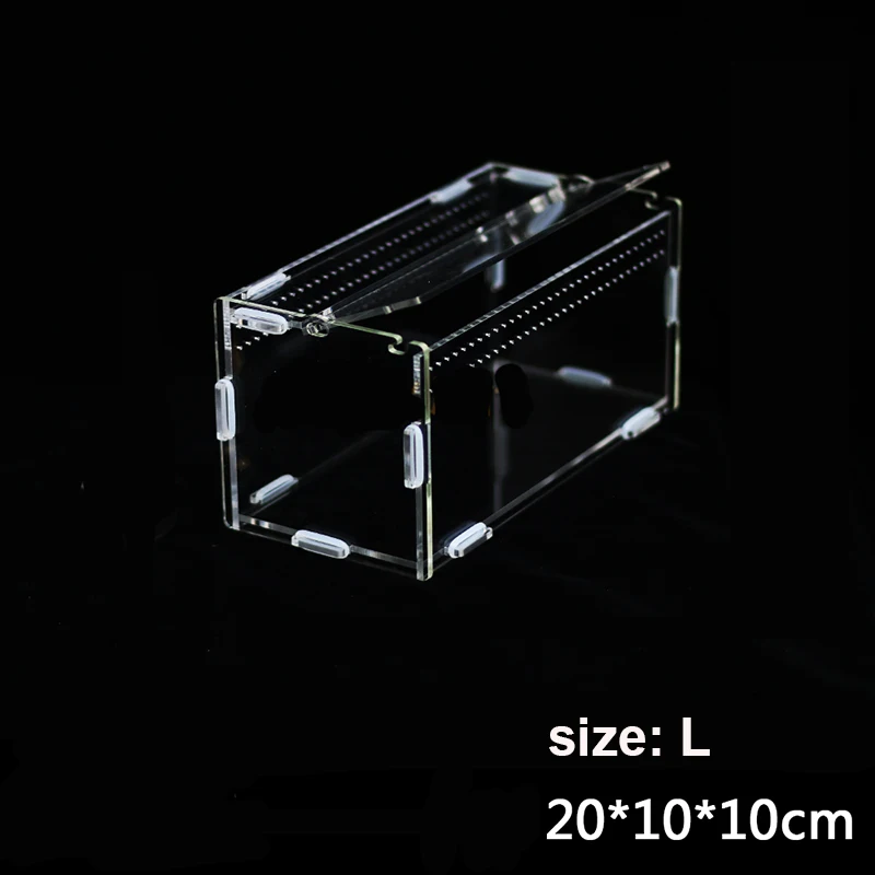 

Acrylic Reptile Cage Spider Lizard Scorpion Centipede Horned Frog Gecko Beetle Chameleon Insect Breeding Box
