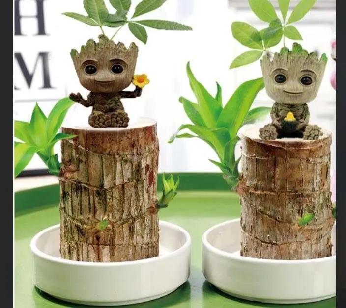 Новый маленький цветочный горшок стражи Галактики Q Version большой птичье гнездо