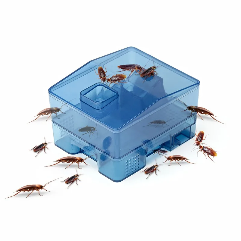 

Box Xiaoqiang whole nest cockroach killing cockroach house powder artifact kitchen indoor cockroach powder lure killer catcher #