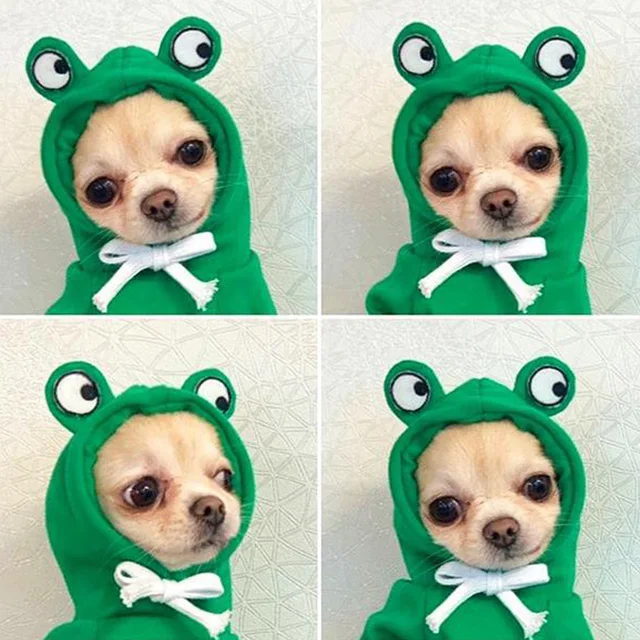 2020 Fall Winter Cute Pet Cat Dog Fleece Warm Hoodie Coat Fashion Jacket Frog Apple Banana Pattern Puppy Clothes Pet Supplies