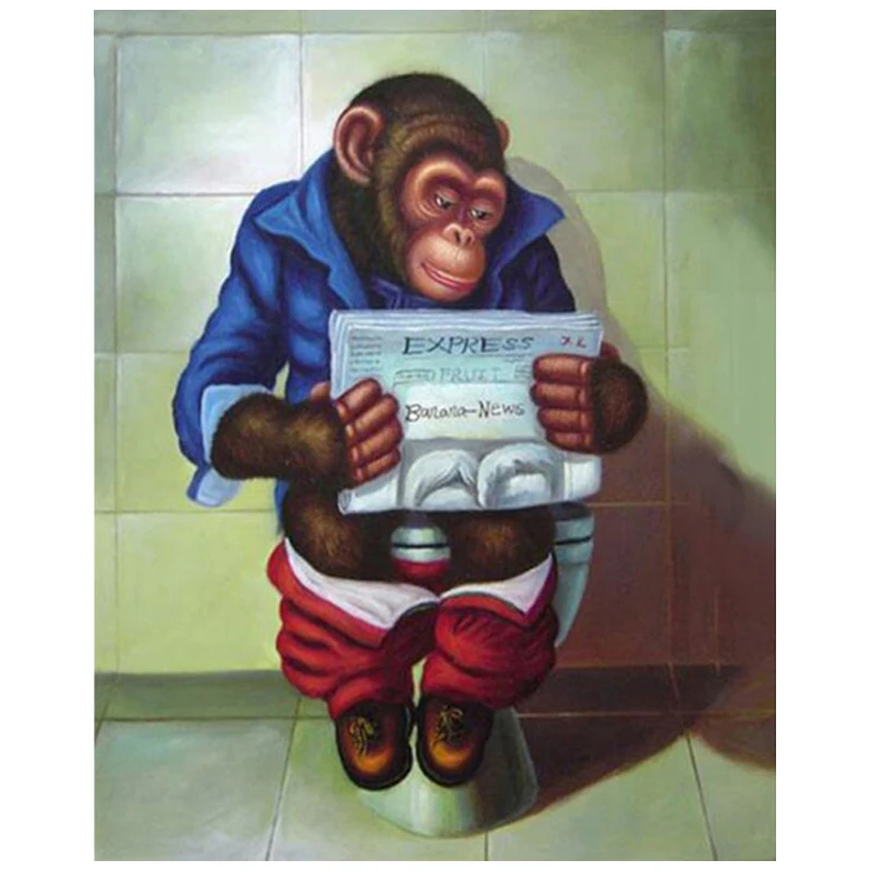 

Bathroom decoration 5d Diy diamond painting monkey on the Toilet Reading book diamond Embroidery Mosaic square round